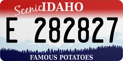 ID license plate E282827