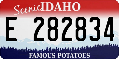 ID license plate E282834