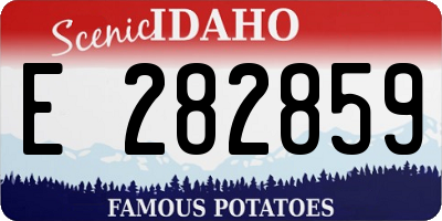 ID license plate E282859