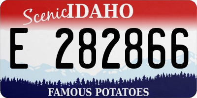 ID license plate E282866