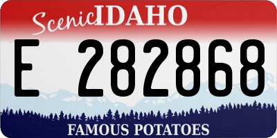 ID license plate E282868