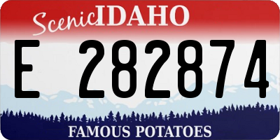 ID license plate E282874