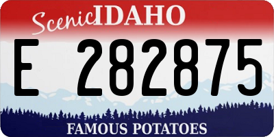 ID license plate E282875