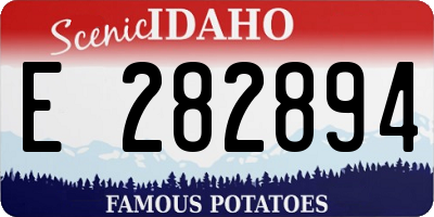 ID license plate E282894