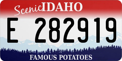 ID license plate E282919