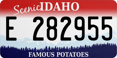 ID license plate E282955