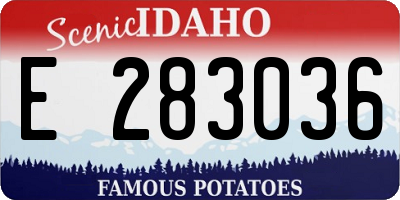 ID license plate E283036