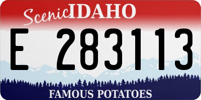 ID license plate E283113