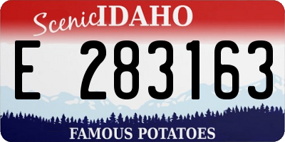 ID license plate E283163