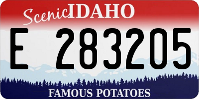 ID license plate E283205