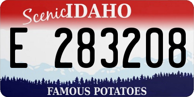 ID license plate E283208