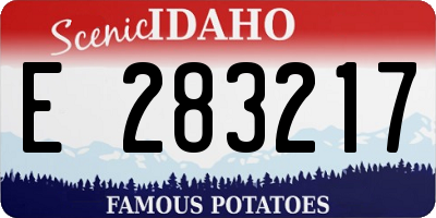 ID license plate E283217