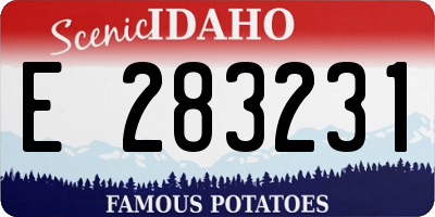 ID license plate E283231