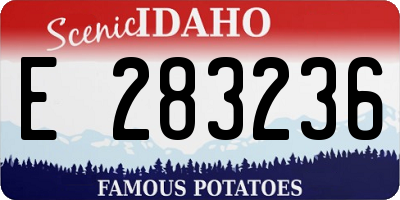 ID license plate E283236