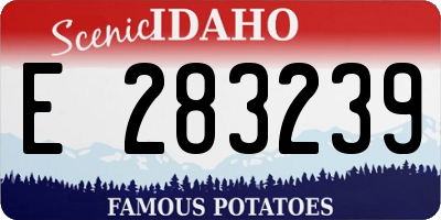 ID license plate E283239