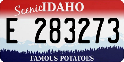 ID license plate E283273
