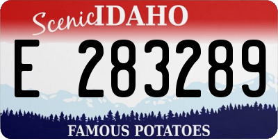 ID license plate E283289