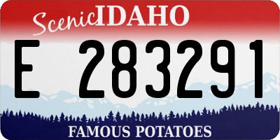 ID license plate E283291