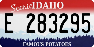 ID license plate E283295