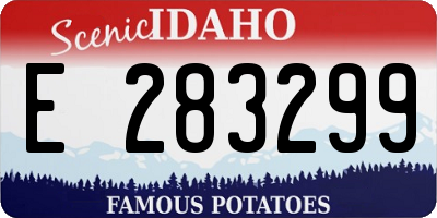 ID license plate E283299