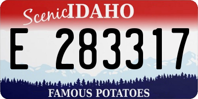ID license plate E283317