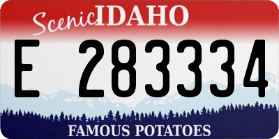 ID license plate E283334