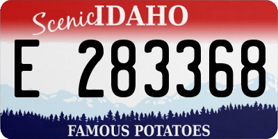 ID license plate E283368