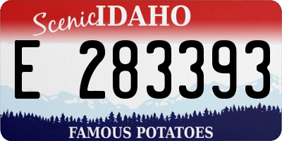 ID license plate E283393