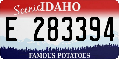 ID license plate E283394