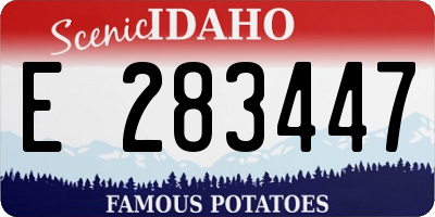 ID license plate E283447