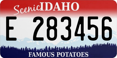 ID license plate E283456
