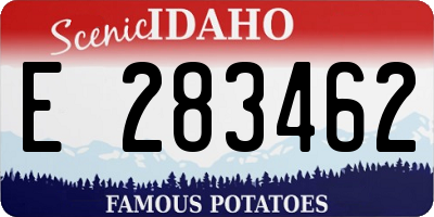 ID license plate E283462