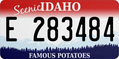 ID license plate E283484