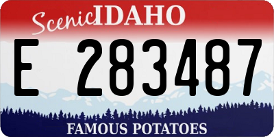ID license plate E283487