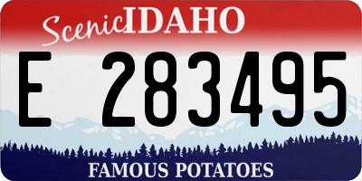 ID license plate E283495