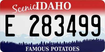ID license plate E283499