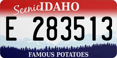 ID license plate E283513