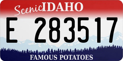 ID license plate E283517