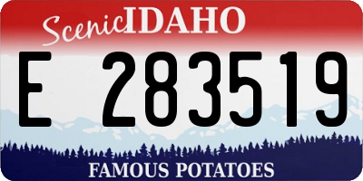 ID license plate E283519