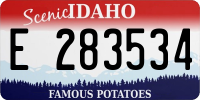 ID license plate E283534
