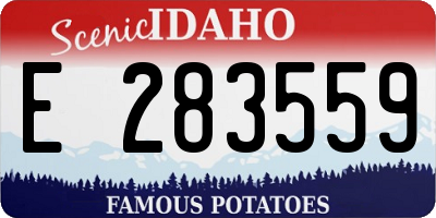 ID license plate E283559