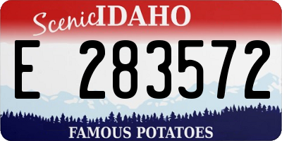 ID license plate E283572