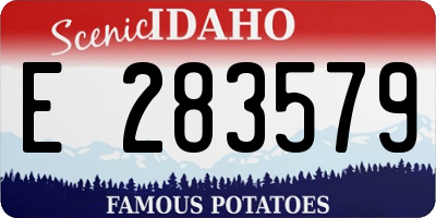ID license plate E283579