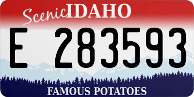 ID license plate E283593