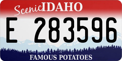 ID license plate E283596