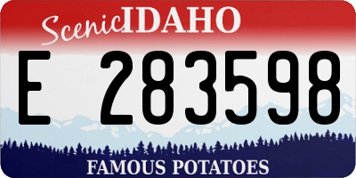 ID license plate E283598