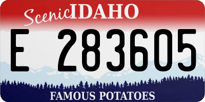 ID license plate E283605