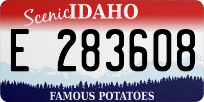 ID license plate E283608