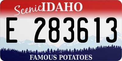 ID license plate E283613