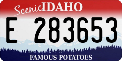 ID license plate E283653